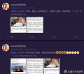 侮辱死难者的言论