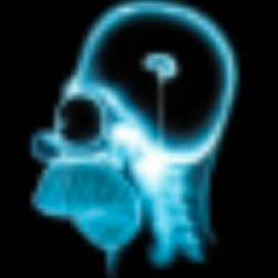 File:Brain.png