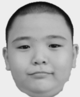 File:20190202035504!phpMsF1OJ.png