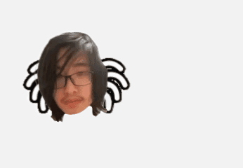 File:Spider Lbq.gif