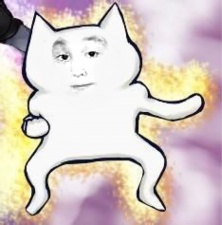 中华梨园猫