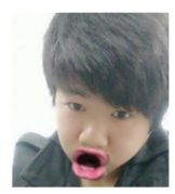 条人13