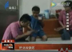 流浪狗的骗吃骗喝