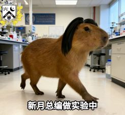 李炳谦盗窃试剂