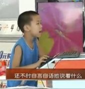 流浪狗的自言自语
