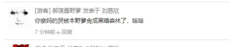 File:自带截图-wiki评论区 (2).jpg