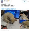 “大四”了还学高数