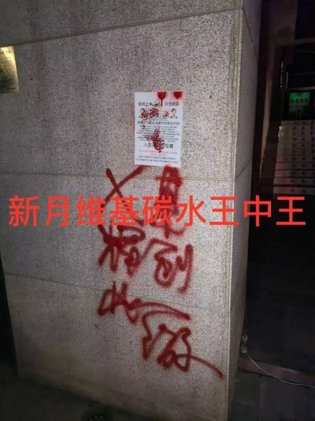 File:谭竹遭到迫害.jpg