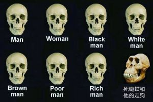 走狗.jpg